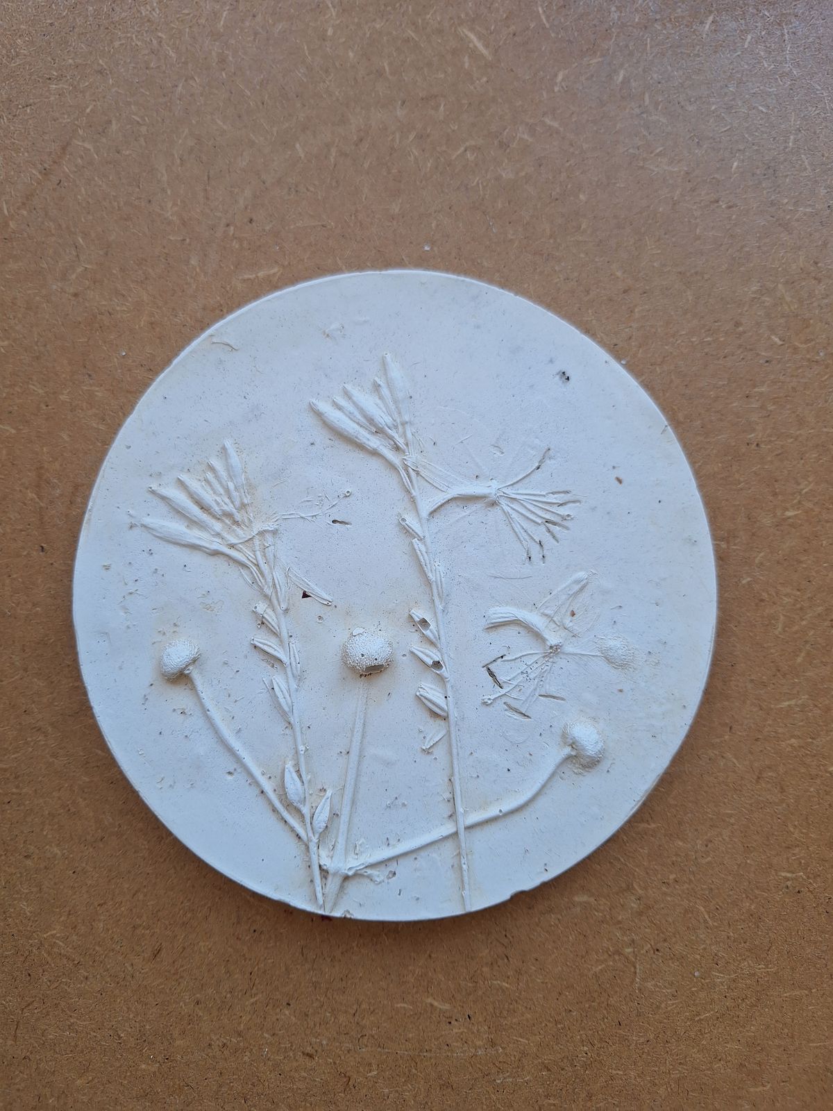 Puur natuur atelier