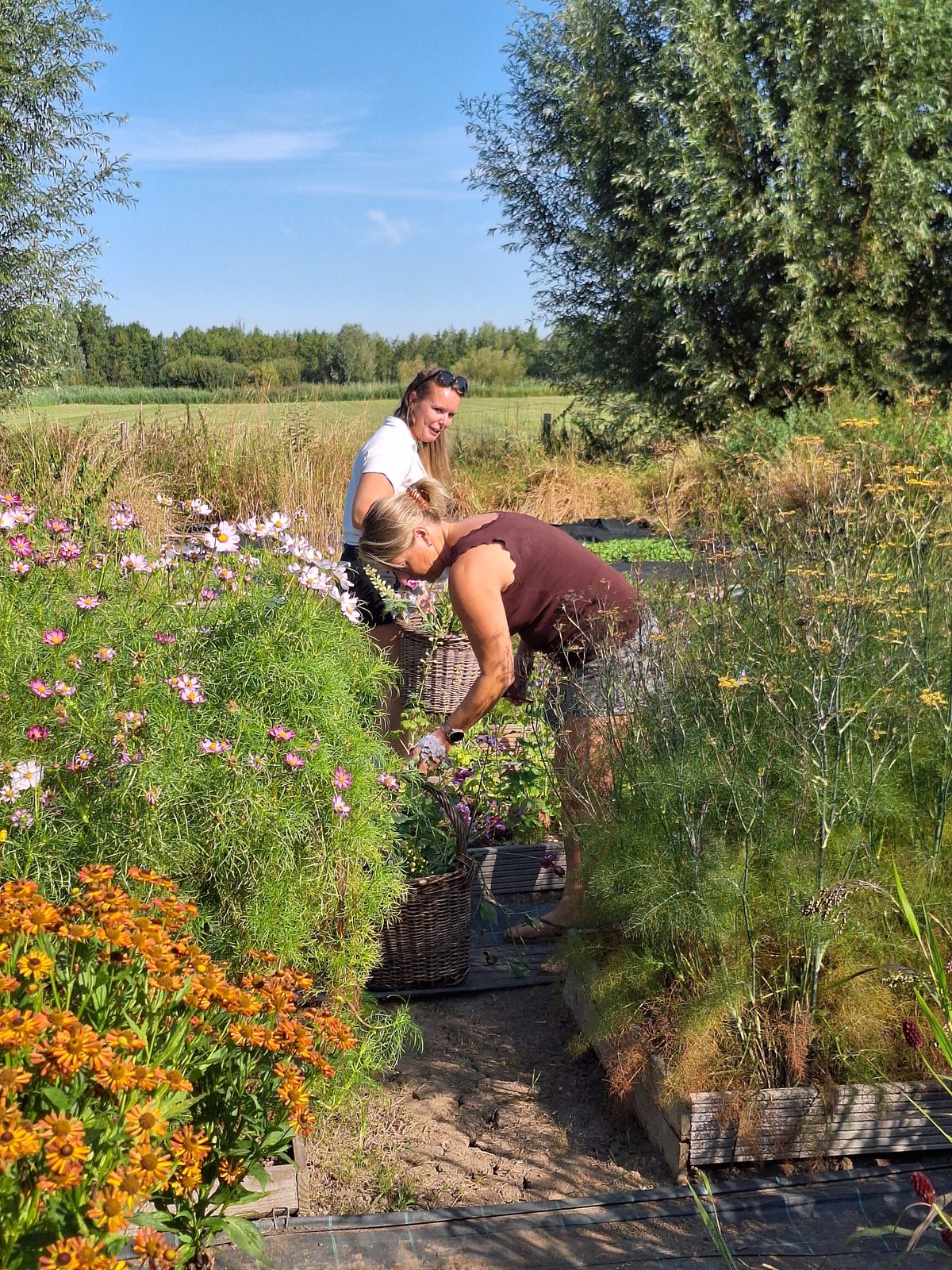Puur natuur atelier