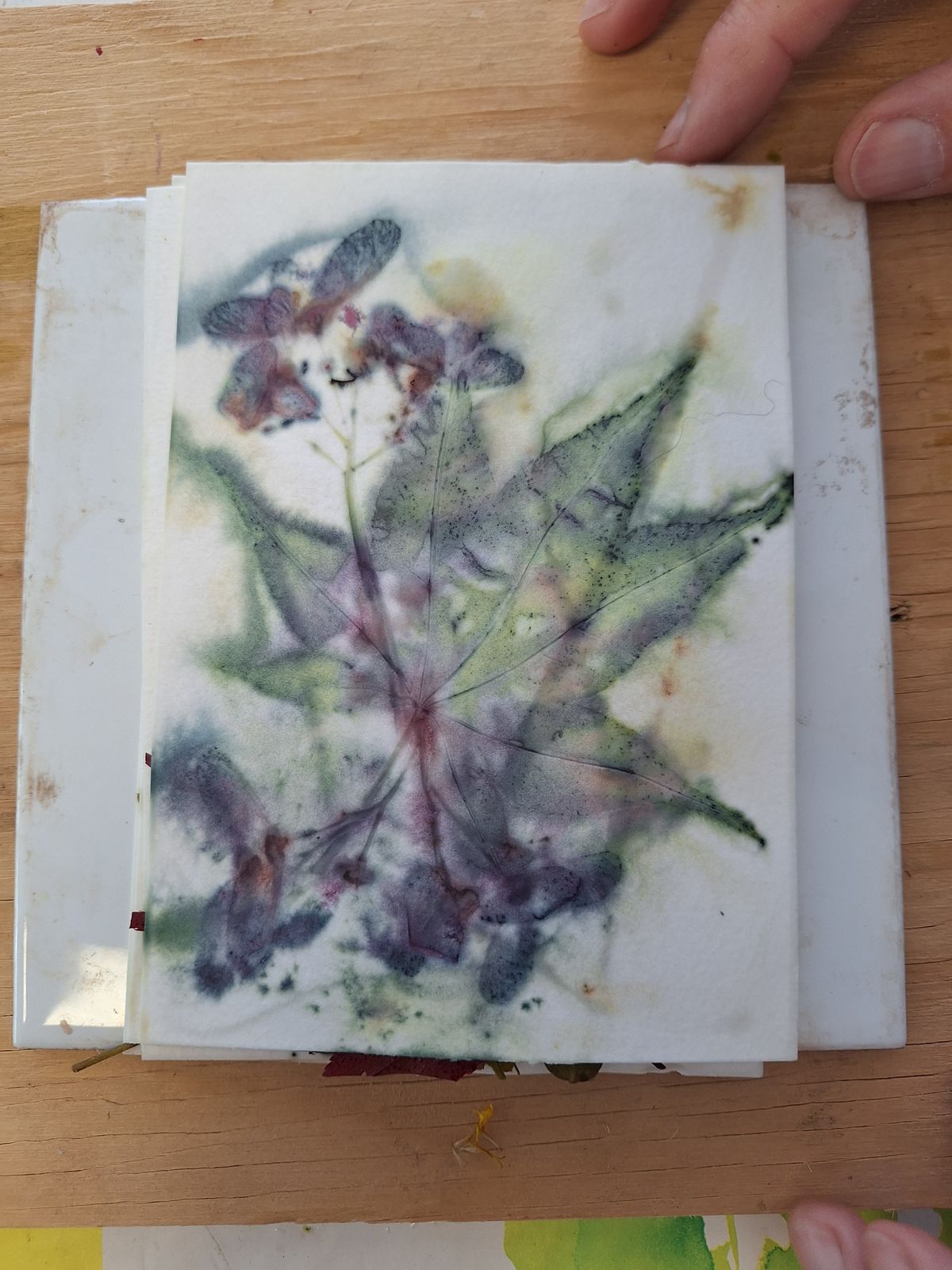 Puur natuur atelier