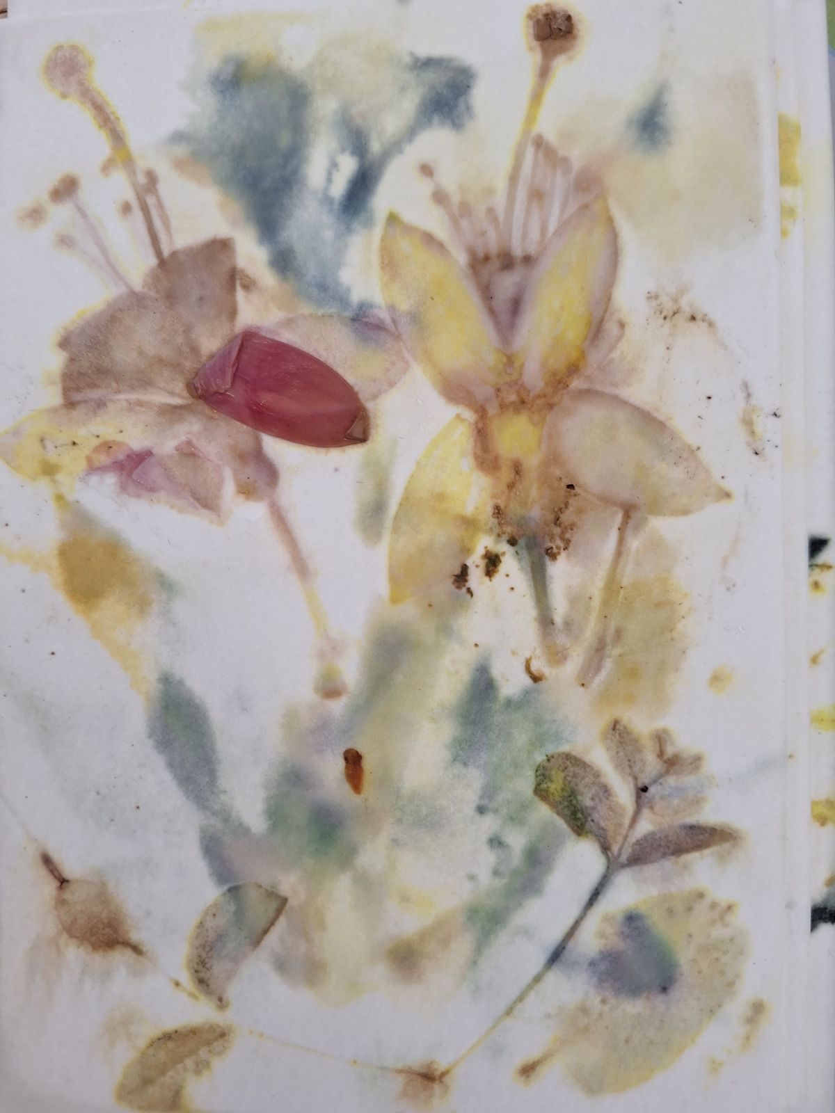 Puur natuur atelier