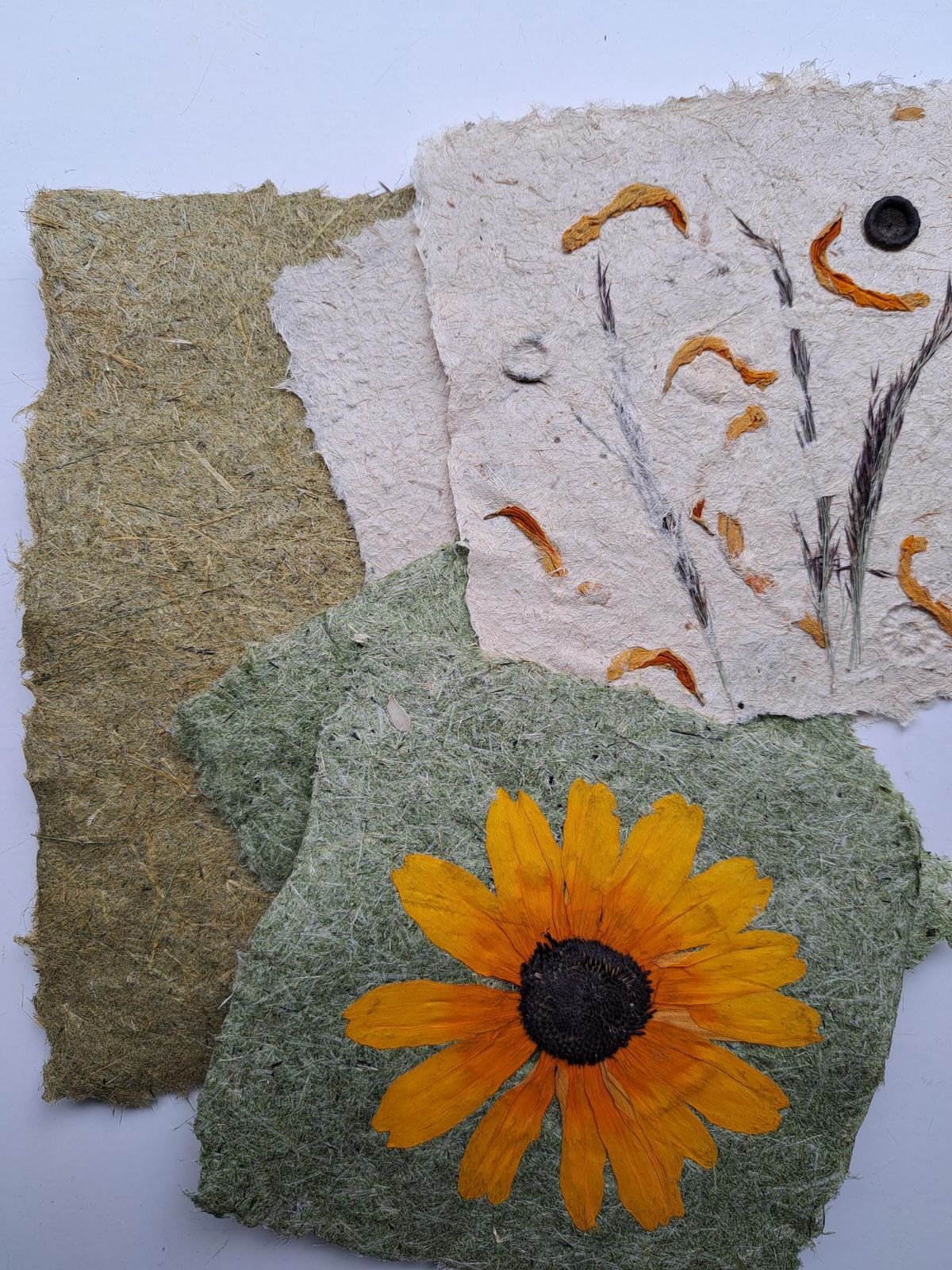 Puur natuur atelier