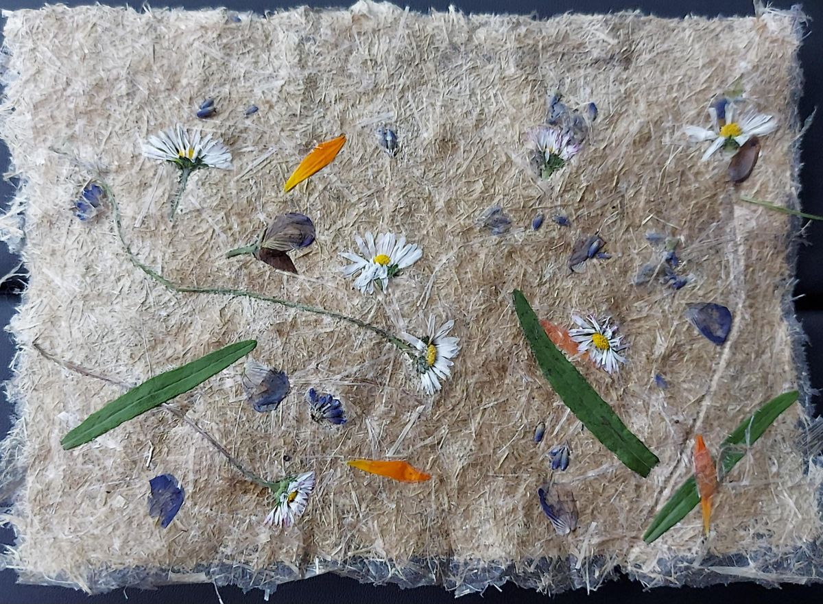 Puur natuur atelier