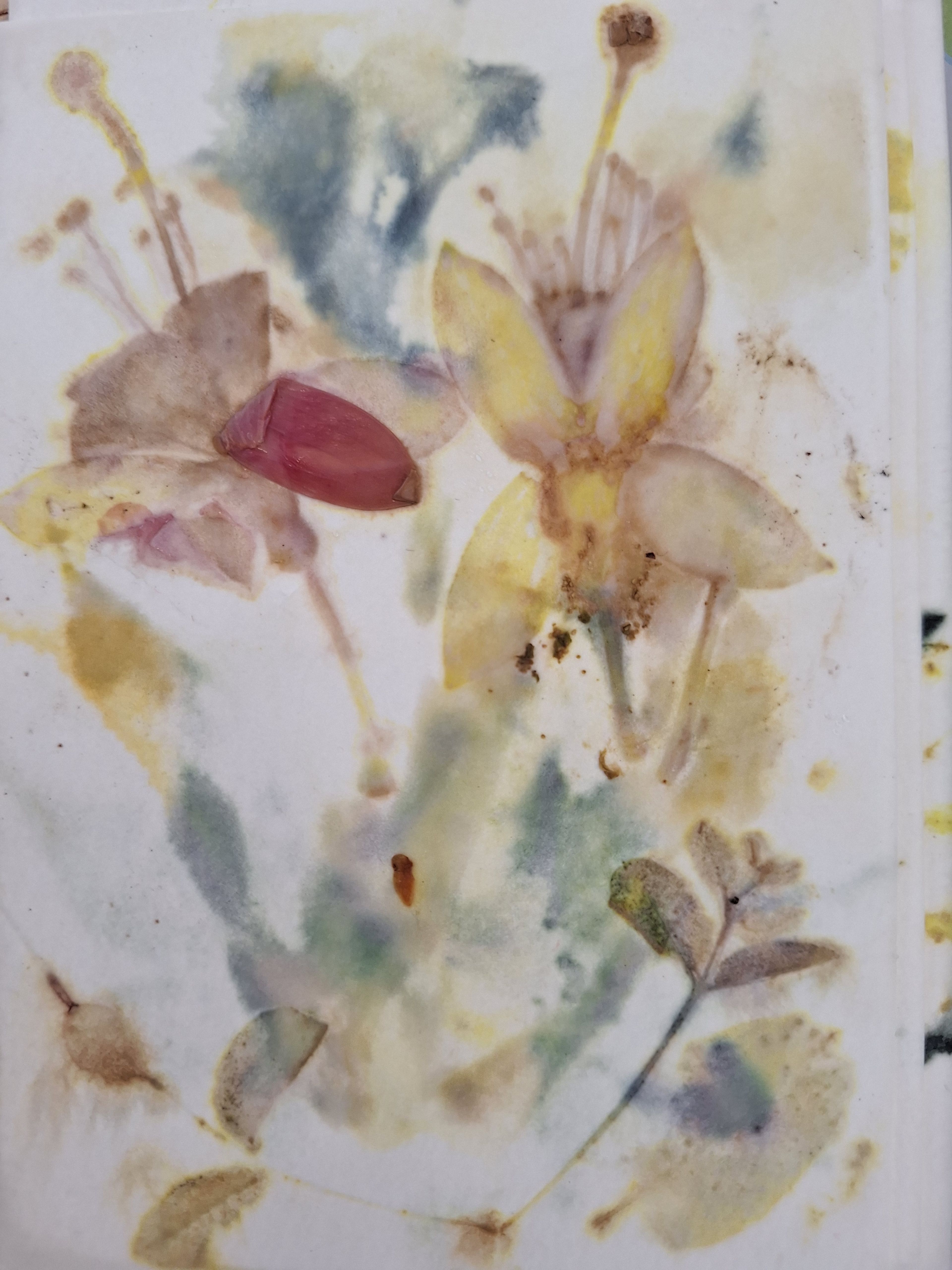 Eco-printen op papier